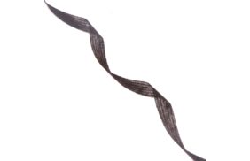 лента нитепрошивная 10мм цв черный (рул 100м) danelli l4yp44 купить по 148 - в интернет - магазине Веллтекс | Старый Оскол
.